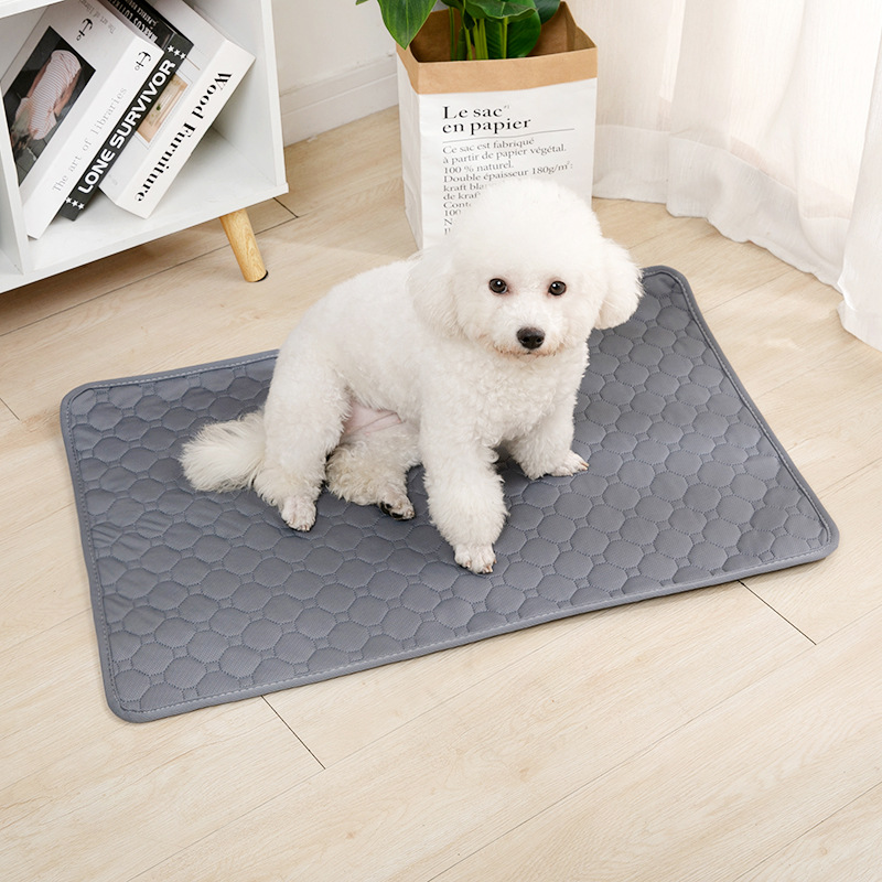 Herbruikbare Hondenplasmat Abs - Mattress Protector Waterproof recensie en prijs
