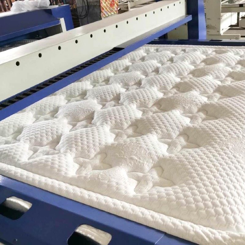 Geavanceerde naaimachine voor  - Home Textile Industry recensie en prijs